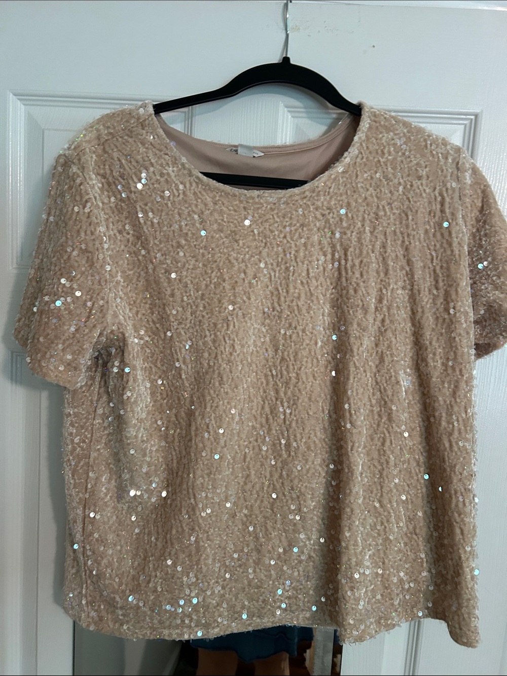 Cato Sequin Short Sleeve Top - Nude Blush